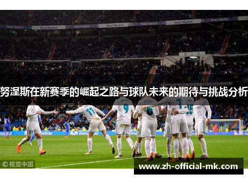 努涅斯在新赛季的崛起之路与球队未来的期待与挑战分析